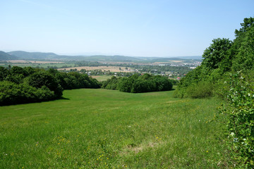 Green meadow
