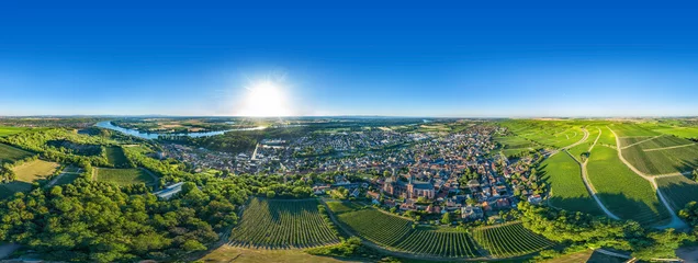 Fototapeten 360° VR Luftbild Oppenheim am Rhein © Mathias Weil