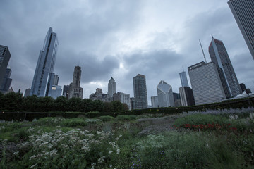 Obraz premium Chicago Skyline