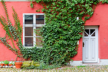 ivy covered house with red wall