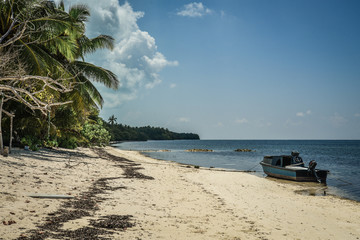 Beautiful beach with trees and fishing boat