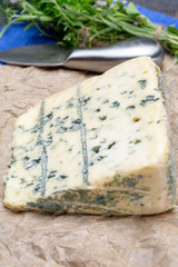Blue cheese made from cow milk with Penicillinum mold, tasty soft cheese with specific odor