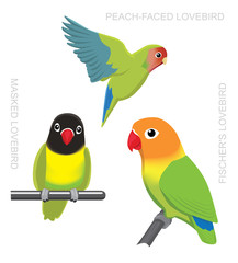 Parrot Lovebirds Cartoon Vector Illustration