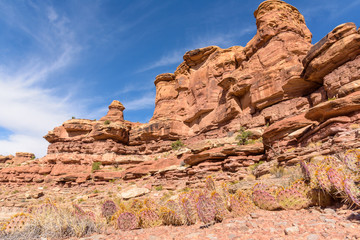 Fototapeta premium Red Rock Formations Near Canyonlands National Park, Utah.
