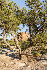 Red Rock Formations Near Canyonlands National Park, Utah.