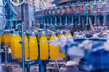 Automatic filling machine pours water into plastic PET bottles. Brewing production.