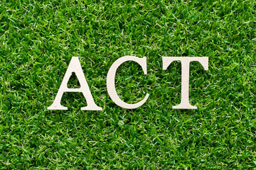 Wood alphabet in word  on artificial green grass background