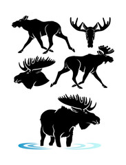 Fototapeta premium elk silhouette