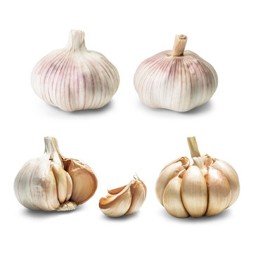 Garlic set isolated