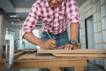 decorator working on design and inspect of plywood at construction site; decorator checking material for interior