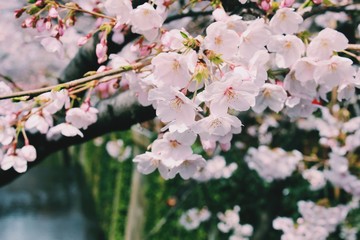 Processed with VSCO with c1 preset