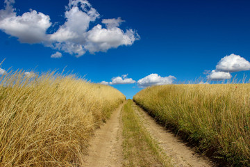 Der Weg istb das Ziel