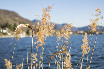 Lake of Avigliana - Susa Valley