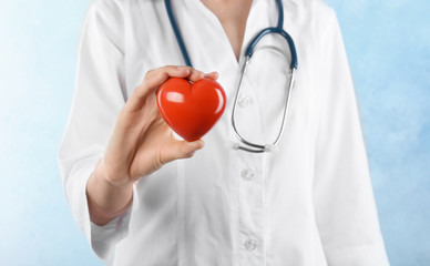 Female doctor holding heart model on light background. Cardiology service