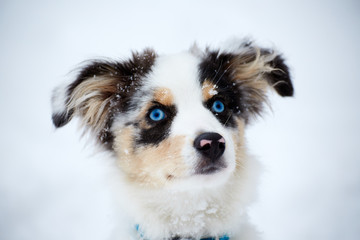 Behind blue eyes