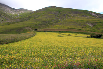 castelluccio di Norcia