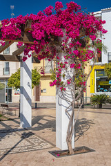 Fototapeta na wymiar Historic old town of Nerja, Spain with pink flowers