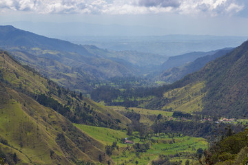 Fototapeta na wymiar Valle de Cocora, salento colombia