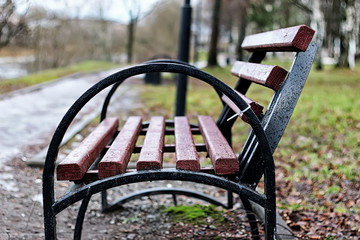 bench in the city in spring