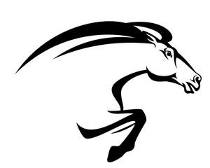 speeding mustang horse head - black and white vector design