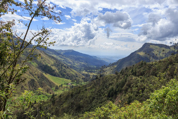 Naklejka premium Valle de Cocora, salento colombia