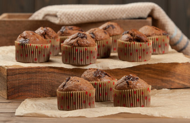 Home Baked Chocolate Banana Coconut Muffins.