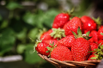 Strawberry on wicker bag outdoor