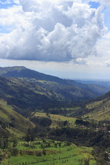 Fototapeta premium Valle de Cocora, salento colombia