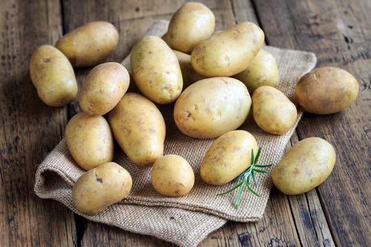 erntefrische Kartoffeln