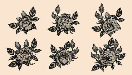 Rose vector lace by hand drawing.Beautiful flower on brown background.Rose lace art highly detailed in line art style.Flower tattoo on vintage paper.