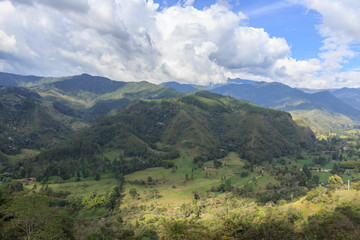 Obraz premium Valle de Cocora, salento colombia