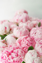 Beautiful bouquet of pink peonies . Floral composition, daylight. Wallpaper. Lovely flowers in glass vase.