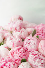 Wallpaper. Lovely flowers pink peonies . Floral compositions, daylight.