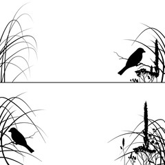 Set of silhouettes of birds sitting on a branch in the grass isolated on white background. 