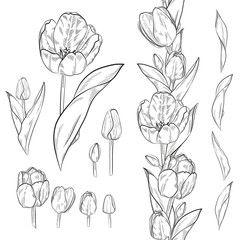 Vector set of contour tulip elements. Seamless brush for floral season design. Endless outline border. Black and white.