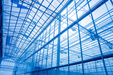 Fototapeta na wymiar The frame of a modern greenhouse against the sky