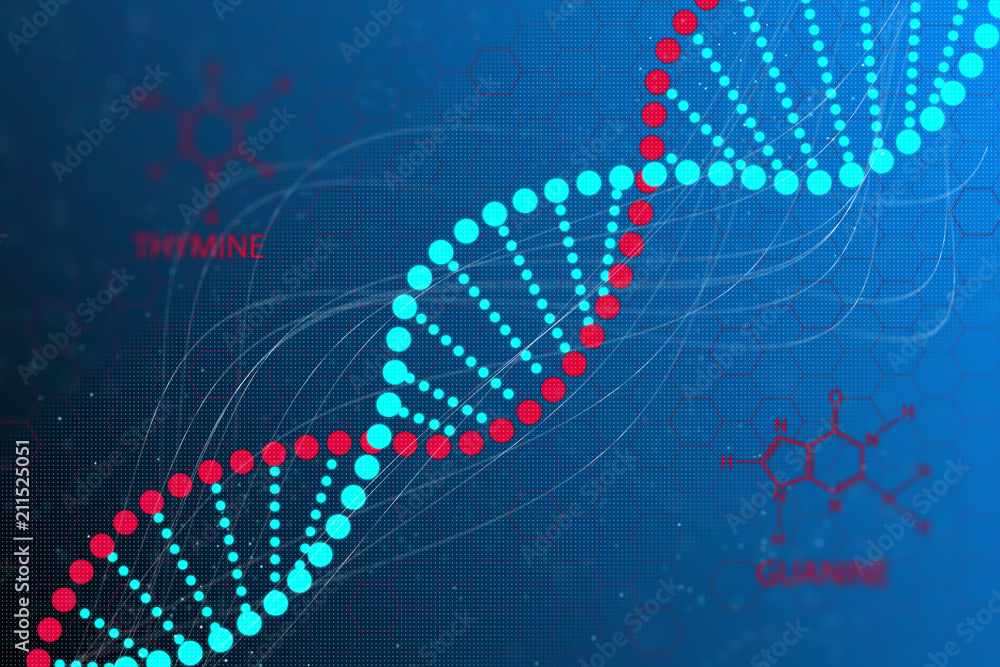 Poster dna code structure