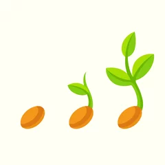 Deurstickers Sprouting seed illustration © sudowoodo