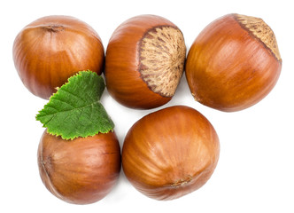 Hazelnut and green leaves of hazelnut isolated on white, top view.