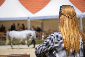 Blonde woman is watching a horse exhibition  - obrazy, fototapety, plakaty