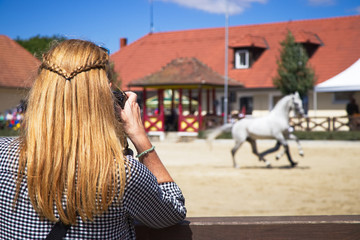 Woman taking picture of horse on horse show - obrazy, fototapety, plakaty
