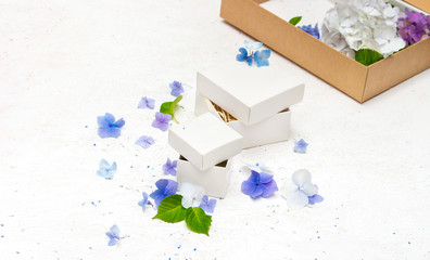Gift boxes with hydrangea flowers inside  on a white background with place for text