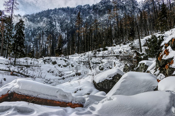 travel in the winter