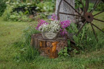 кашпо с цветами на деревянном пеньке и старое колесо в летнем саду