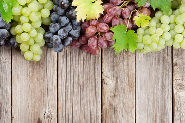 Various colorful grapes