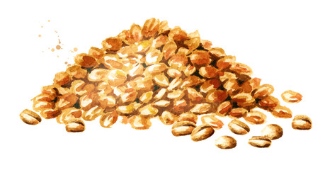 Wheat seeds. Watercolor hand drawn illustration, isolated on white background