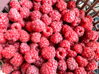 Fresh and sweet ripe garden raspberries. Fruit, vitamins.  Summer healthy food