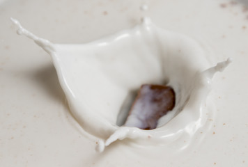 Chocolate falls in milk