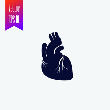 Realistic Heart Icon Vector