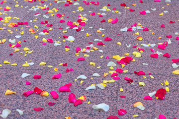 Rose petals scattered on the floor